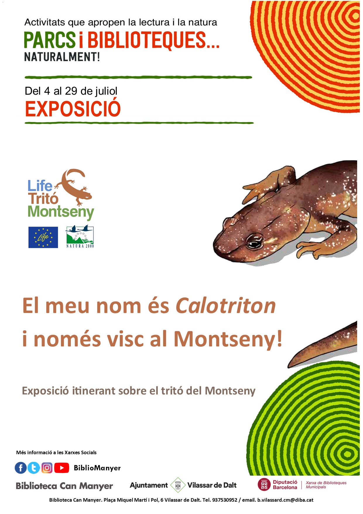 Exposici&oacute;: El meu nom &eacute;s Calotriton i nom&eacute;s visc al Montseny! 