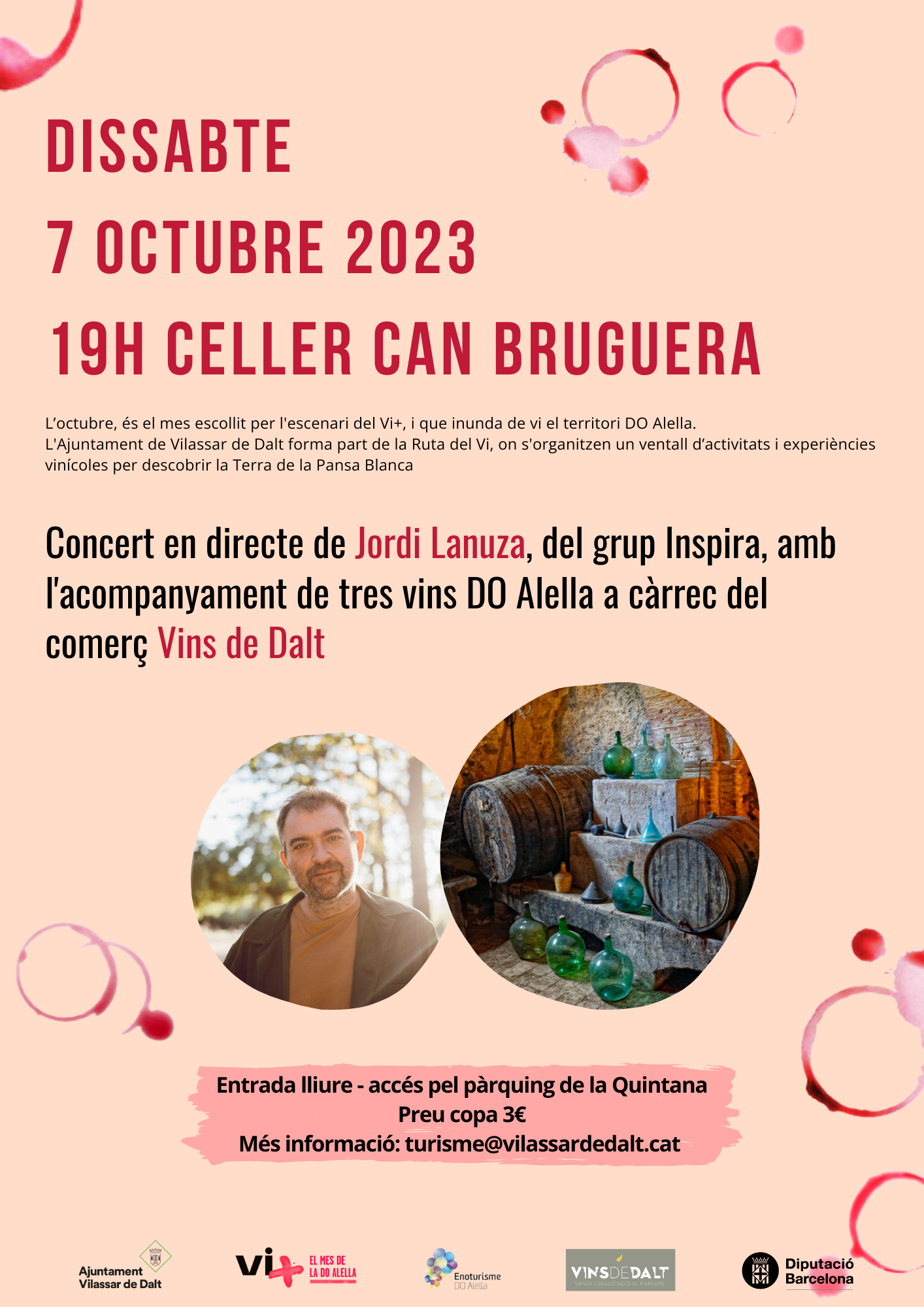 Vi+: Concert de Jordi Lanuza