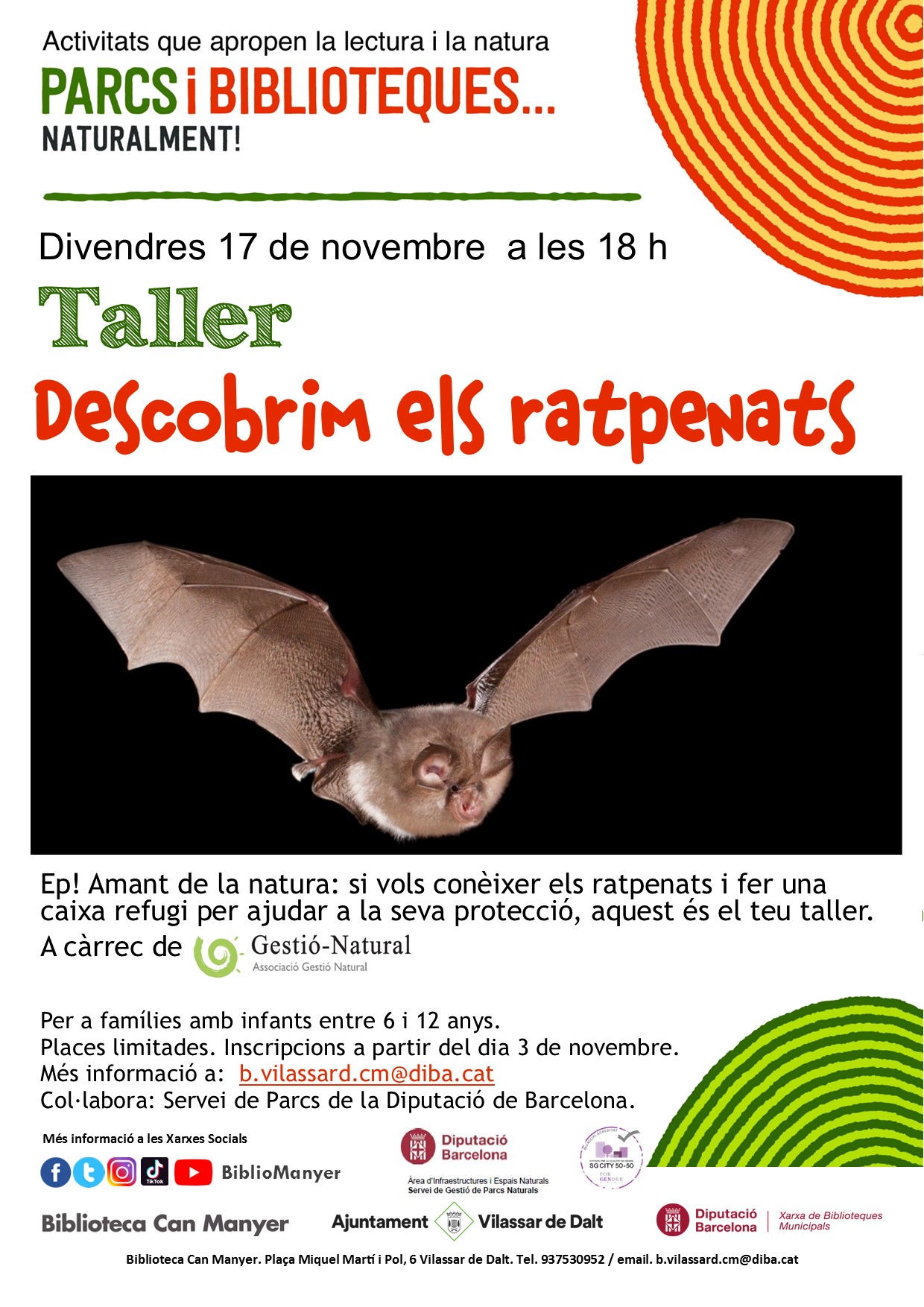 Taller 'Descobrim els ratpenats'