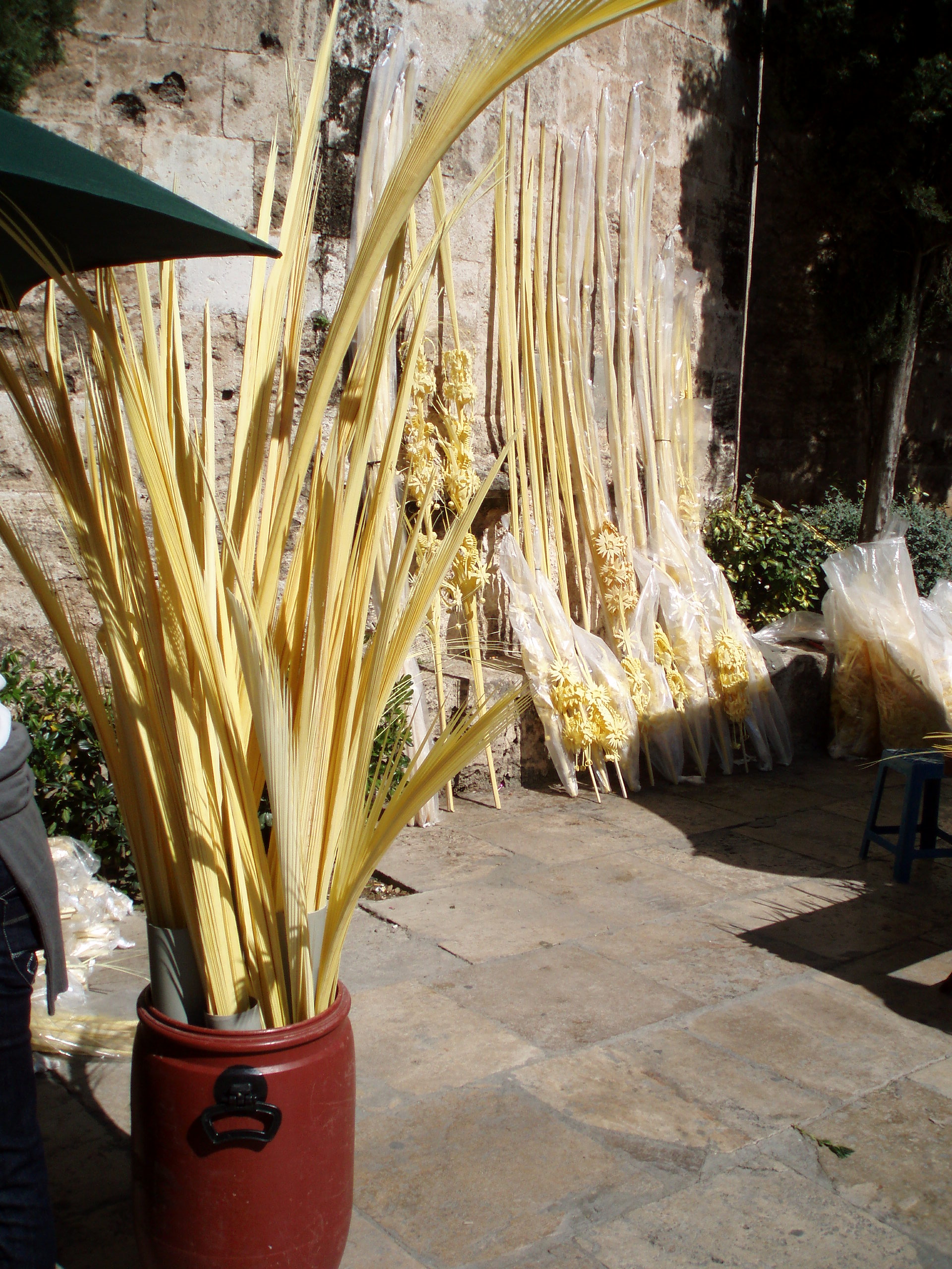 Benedicci&oacute; de Rams