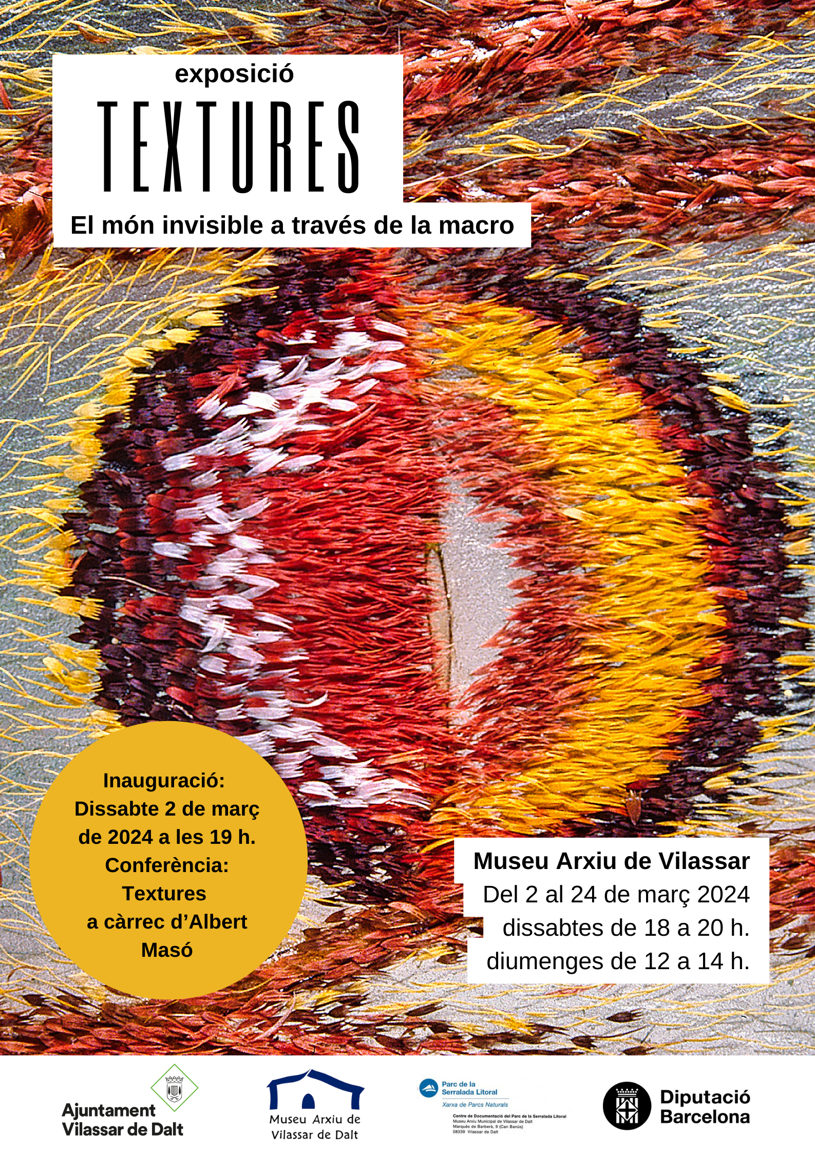 Exposici&oacute; 'Textures'