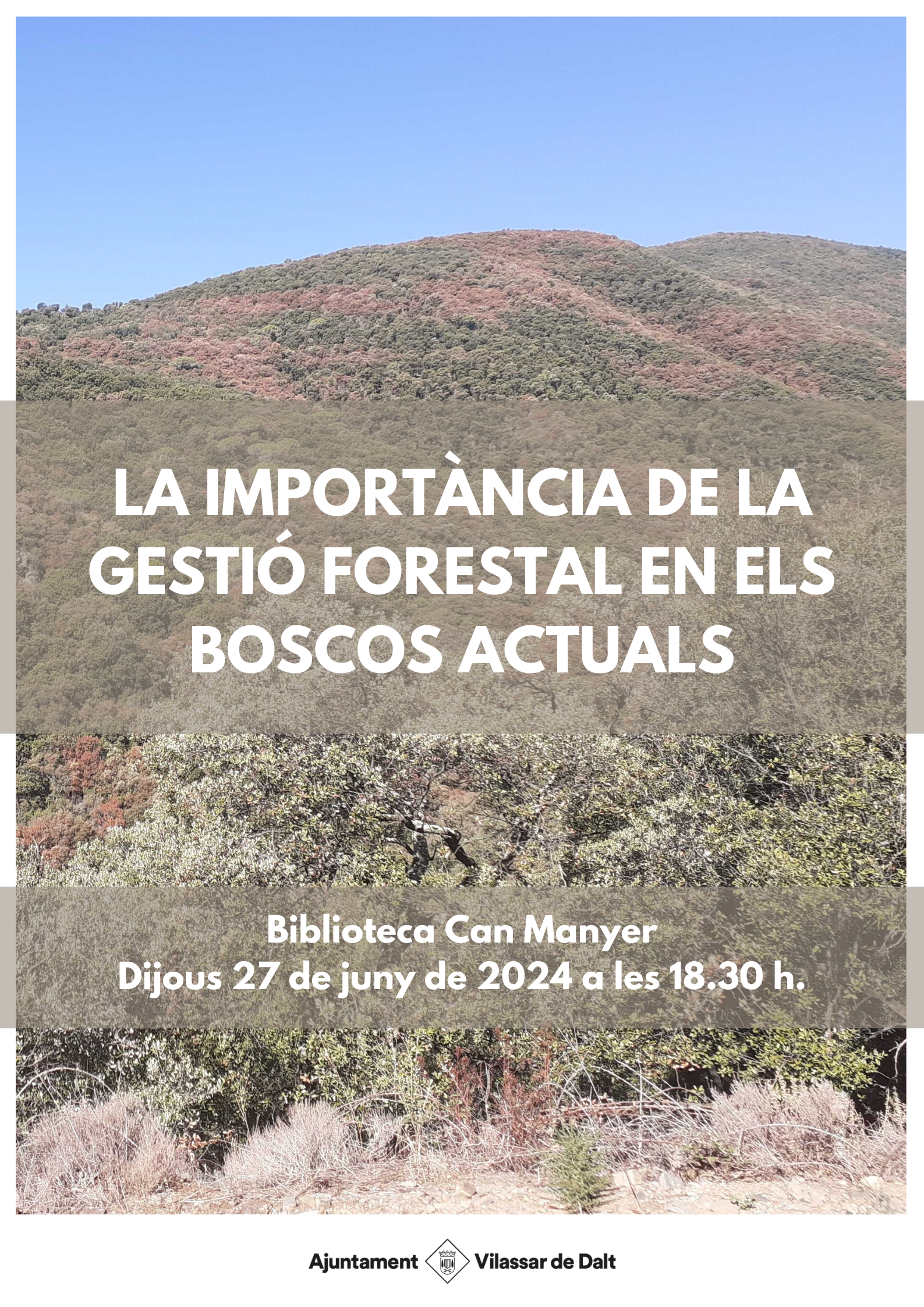 Xerrada 'La import&agrave;ncia de la gesti&oacute; forestal en els boscos actuals