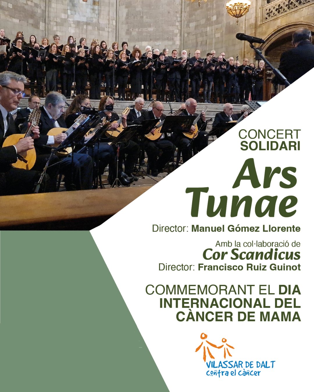 Concert solidari. Ars Tunae