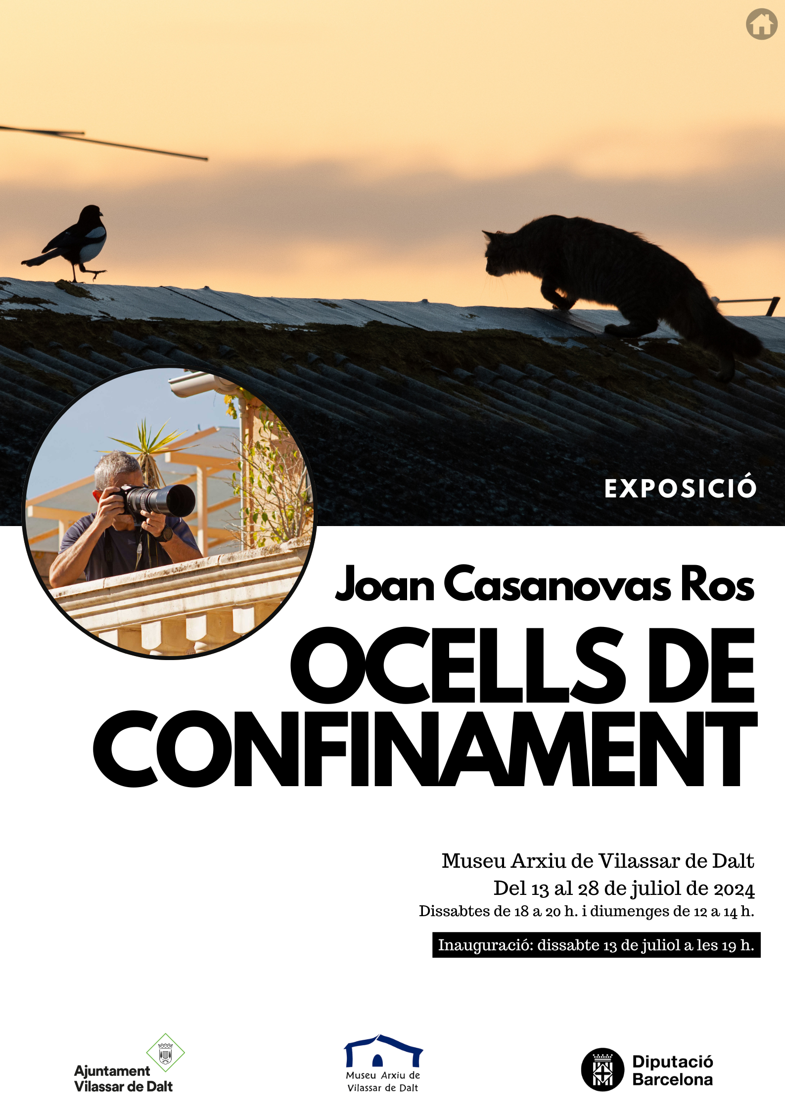 Exposici&oacute; 'Ocells de confinament'