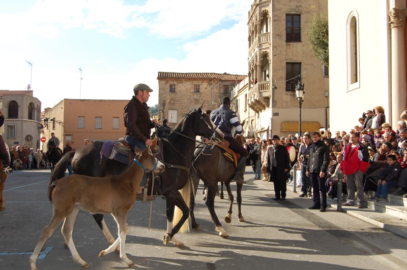 sant antoni abat 2012