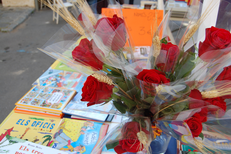 Sant Jordi 2013