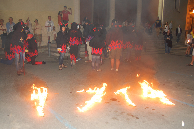 Diada 2013