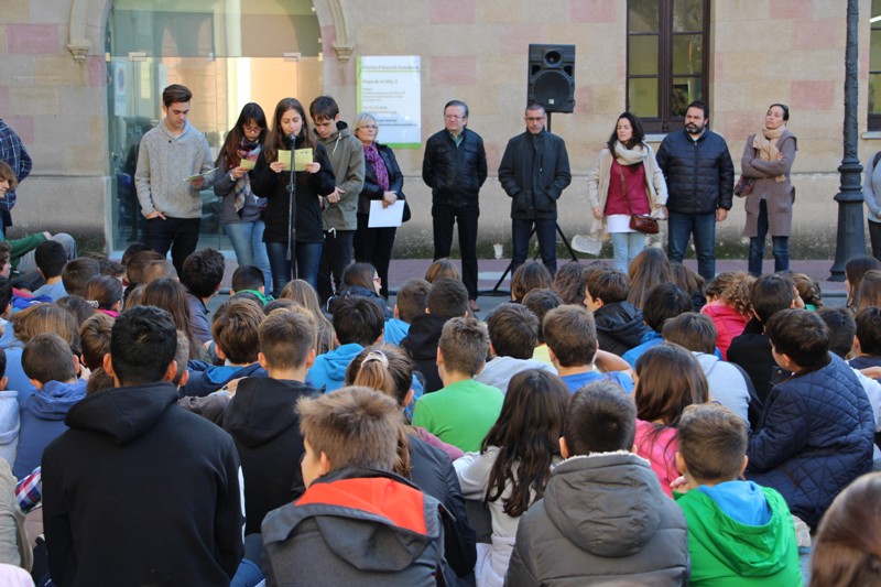 Acte institucional 25N