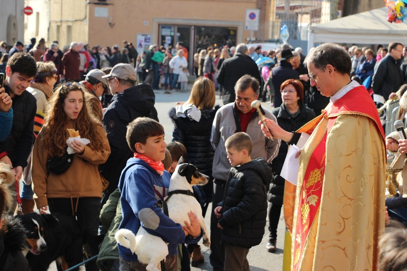 Sant Antoni Abat 2019