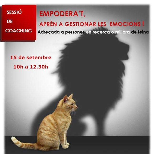 Curs de gestió d'emocions 