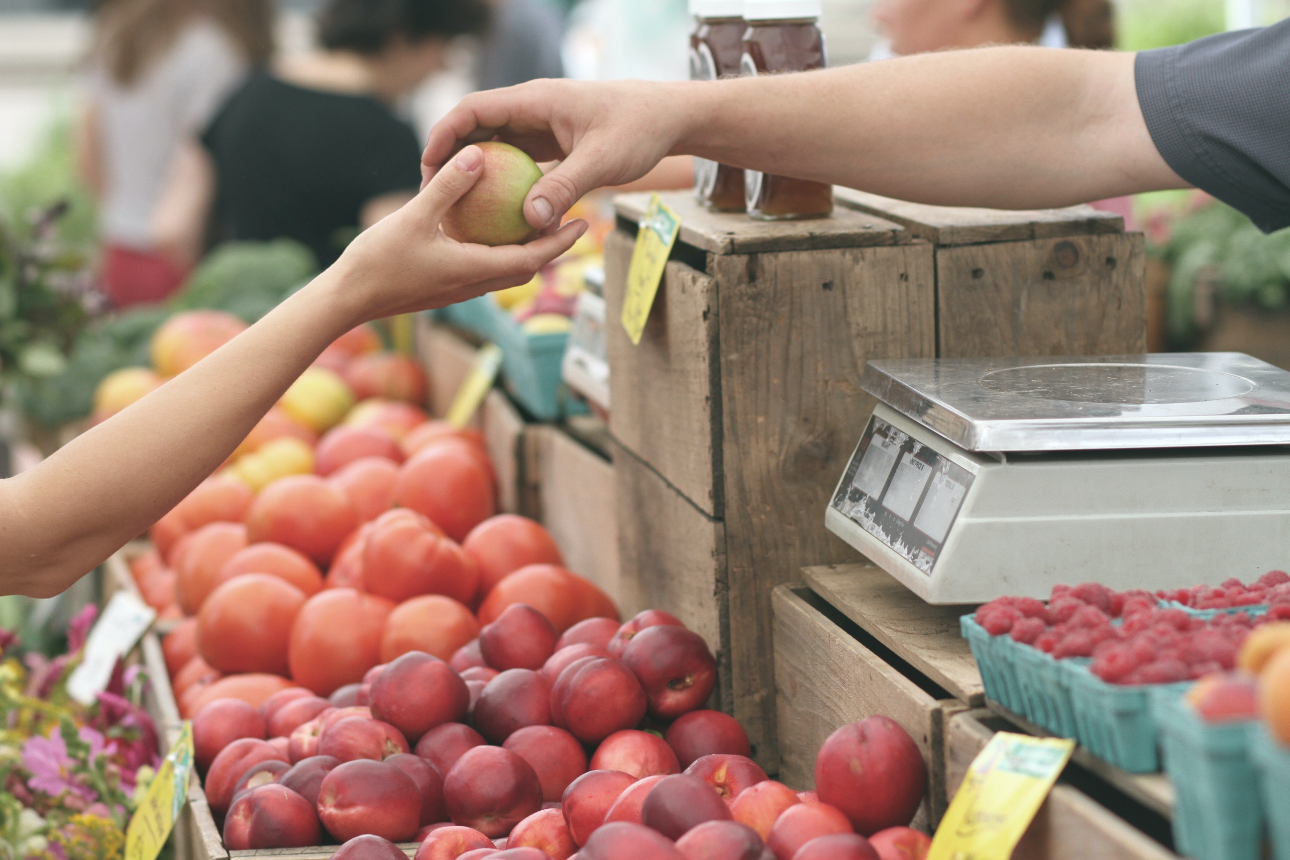 L'Ajuntament obre la convocatòria de subvencions per fomentar el comerç local