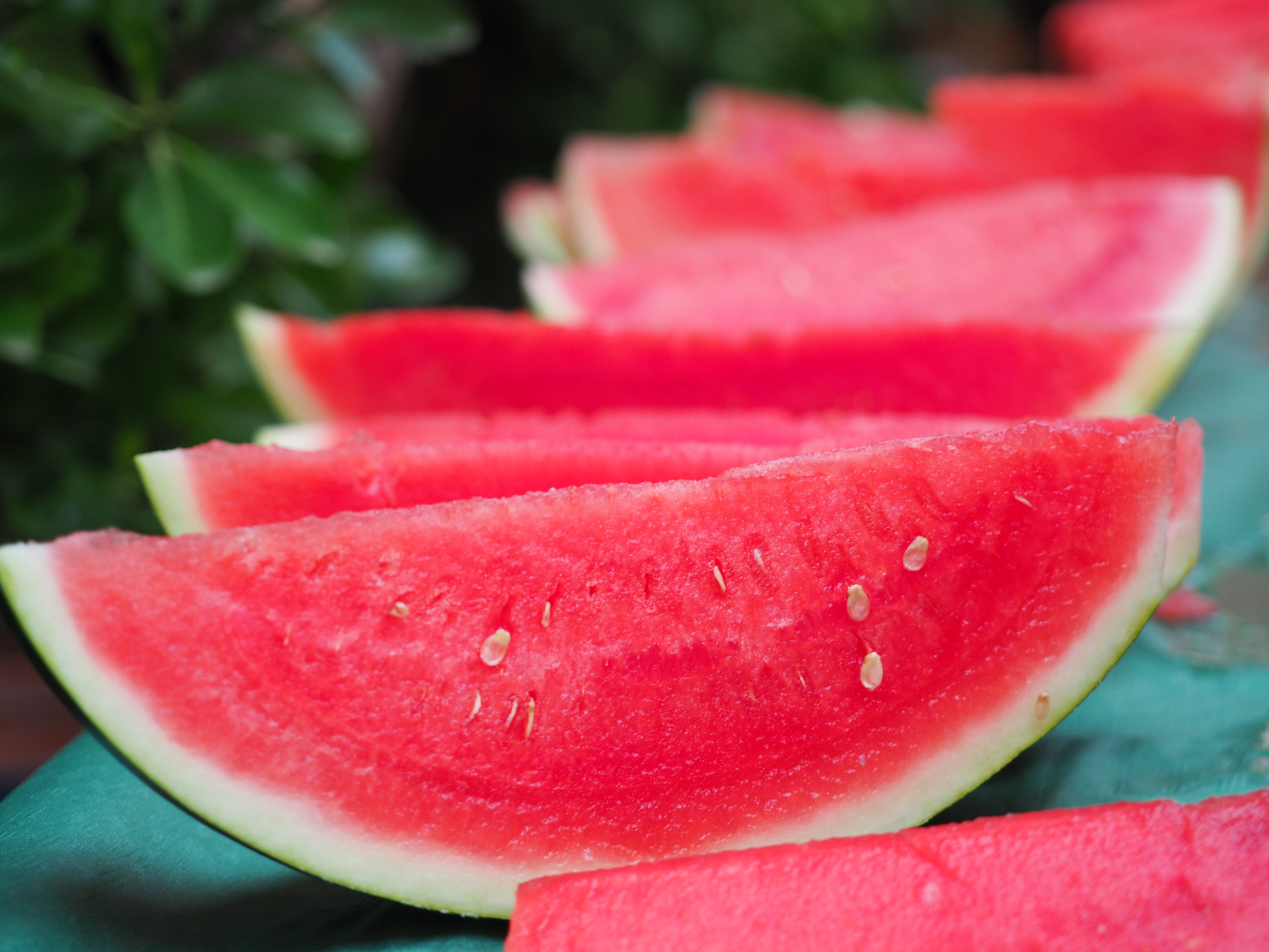 Sants Gen&iacute;s 23. Sindriada