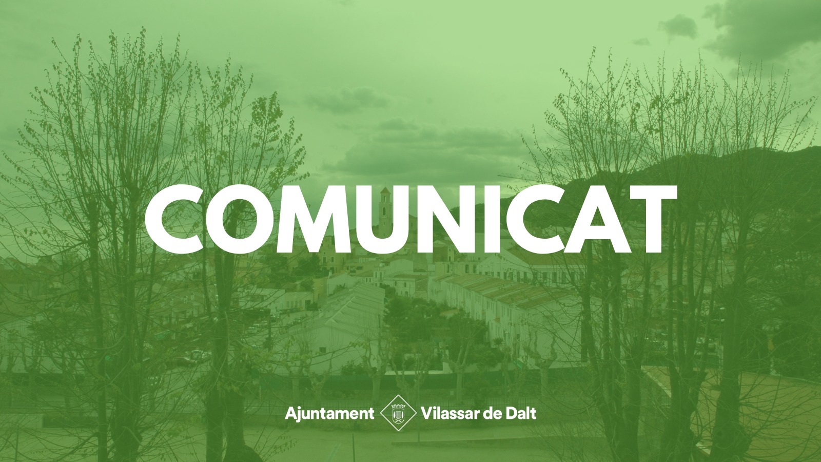 Comunicat de l'equip de govern sobre la gesti&oacute; dels plataners